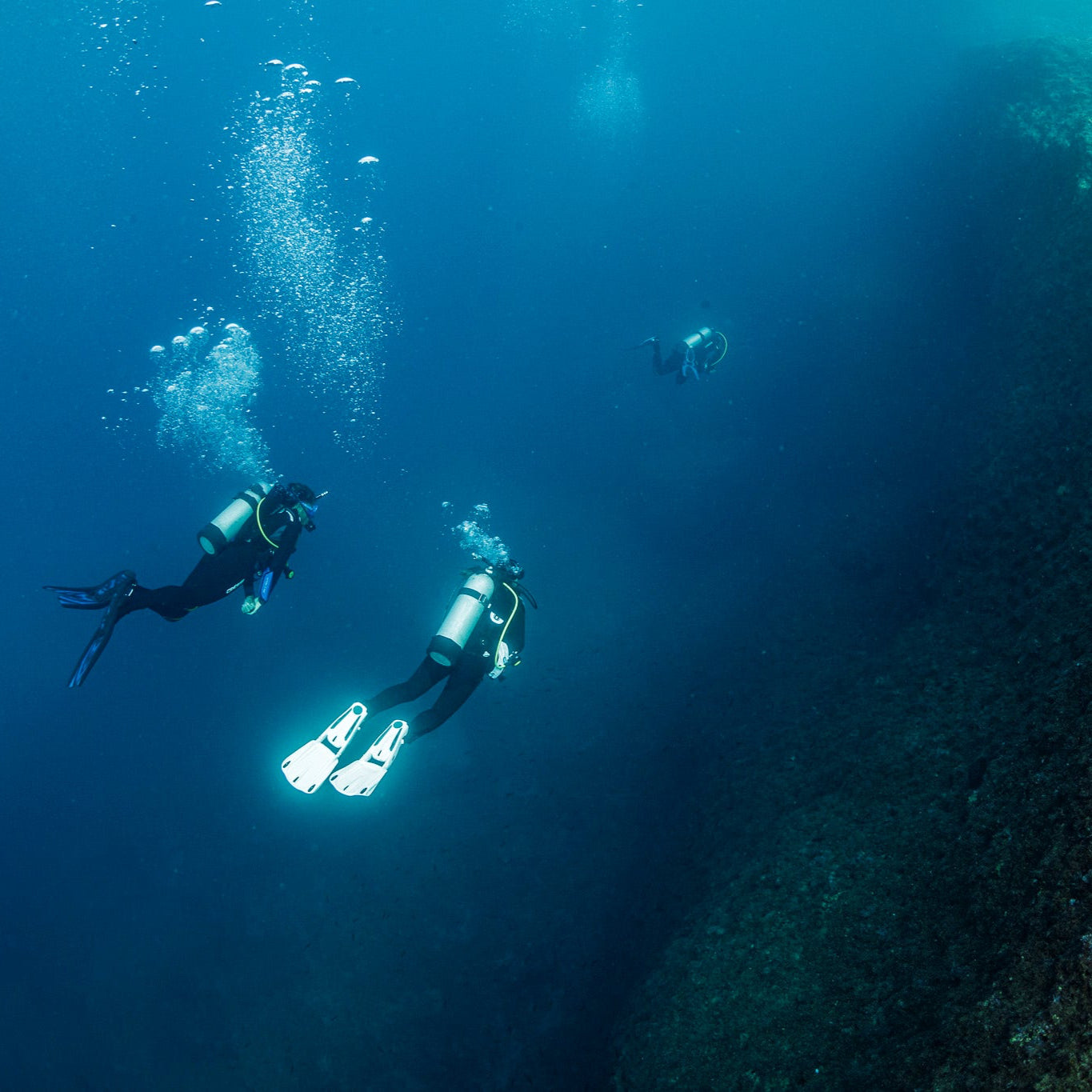 THE WALL DIVE - Diving Trip (from Crete)